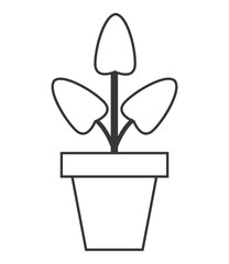 flat design plant in pot icon vector illustration