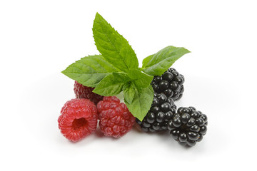Малина и ежевика с мятой на белом фоне