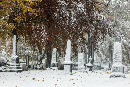 Graves covered by snow