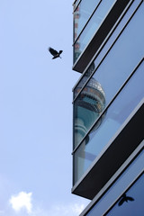 Gespiegelter Fernsehturm / Ein Teil des Berliner Fernsehturmes spiegelt sich an der Kante eines...