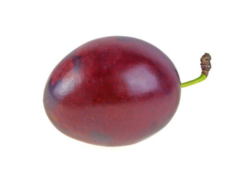 Plum isolated on a white background
