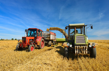 Farmers harvesting Straw, Baler unloads Bales onto Tractor Trailer, Summer Field Landscape under blue sky