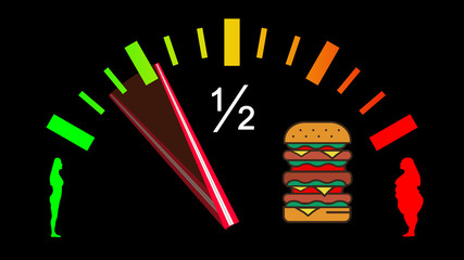 cfg7 CarFuelGauge - Foodie Burger - Burger Display - before and after weight loss picture - 16zu9 g4675