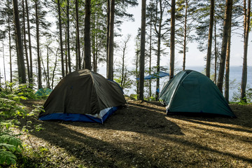 The tents are standing in the forest