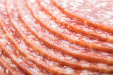 Salami Scheibe Isoliert