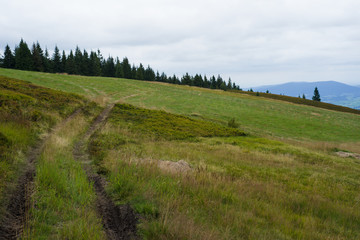 Gorce, szlak turystyczny