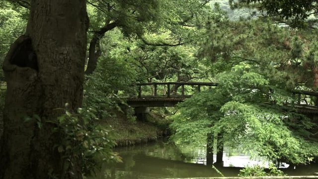 Japanese garden in Sankeien