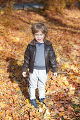Small boy in autumn park.