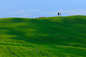 The Rolling Hills of Tuscany in the Warm Light of the Setting Sun, Tuscany, Italy