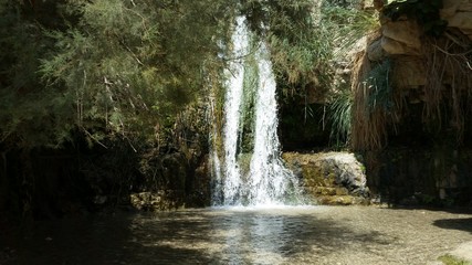 oasis of Ein Gedi in Israel