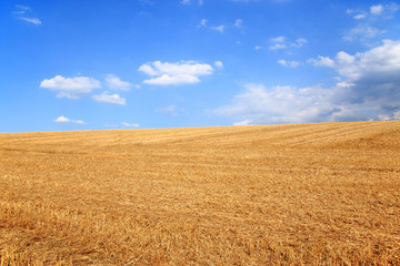 Sommerliches Getreidefeld nach der Ernte unter blauem Himmel