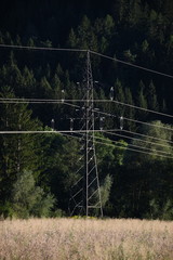 Hochspannungsleitung, Strommast, Hochspannung, Stromversorgung, Energieversorgung, Mast,...
