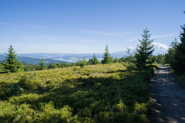 Fototapeta premium Beskidy Zachodnie, Gorce