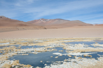 Fototapeta na wymiar The Altiplano - Chile
