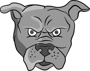 Angry Bulldog Head Cartoon