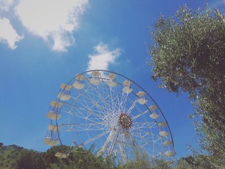 Fototapeta premium ruota 