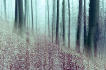 Winter Forest of Bare Trees in Fog, Abstract Study with Blurred Motion, intentionally blurred by camera movement,  filtered, nostalgic color and grain