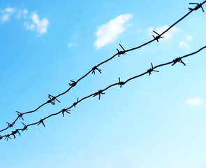 Barbed wire on sky background
