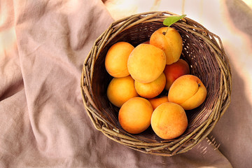 Heap of apricots in wooden basket on table