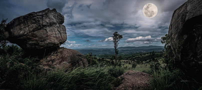Fototapeta Panorama of tree and boulders against nighttime sky with cloudy.