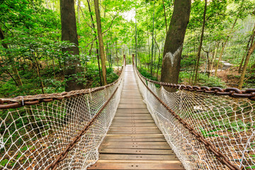 suspension bridge in the quiet forest