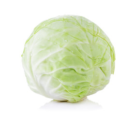 Fototapeta premium cabbage isolated on white background