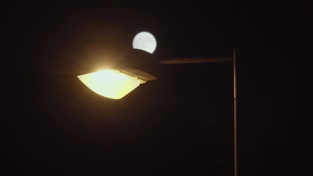 4K full oof moon rising above street pole lamp at night.