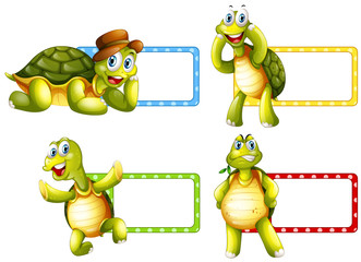 Lable design with green turtles