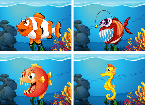 Different sea animals in the sea