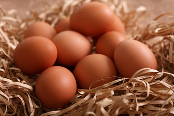 新鮮な玉子