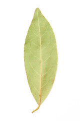 overhead shot of group of dried bay leaves, isolated