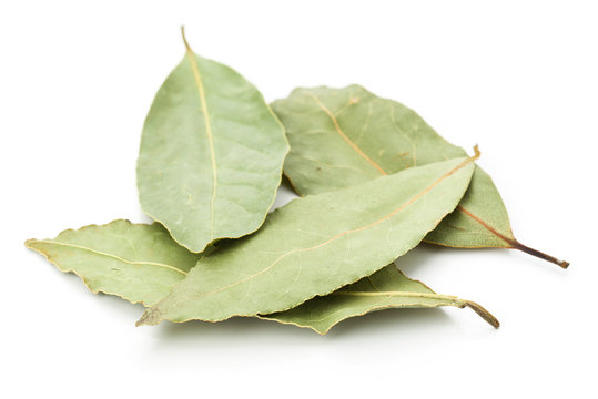 group of dried bay leaves, isolated