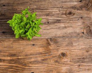 Fresh mint herb for mojitos on table