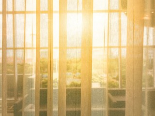 Morning light through the blinds in his office overlooking nature.