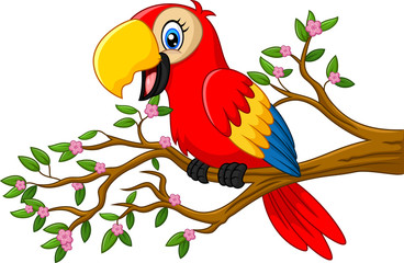 Cute parrot on the branch 