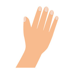 Fototapeta premium hand palm finger nails care human gesture vector illustration