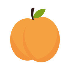 peach fruit dessert food healthy fresh nature organic vector illustration