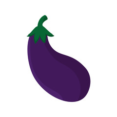 eggplant vegetable  food agriculture healthy ingredient vector illustration