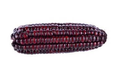 purple corn on white background