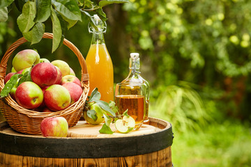 Basket of apples on background orchard standing on a barrel. App