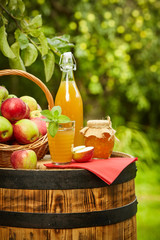 Basket of apples on background orchard standing on a barrel. App