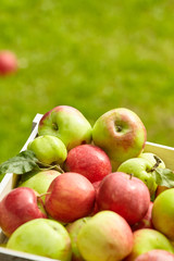 Apples  on brown wooden background