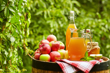 Basket of apples on background orchard standing on a barrel. App