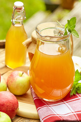 Organic apple juice on barrel against garden background
