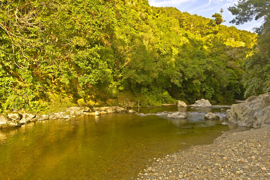 Rivendell, Kaitoke Regional Park, New Zealand