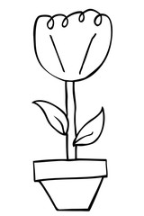 hand draw sketch of flower