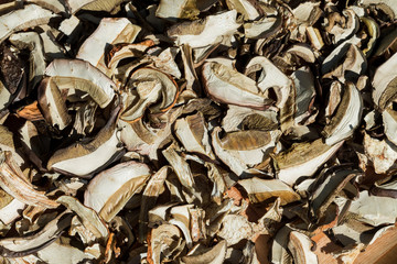 Heap of dried edible mushrooms on the market