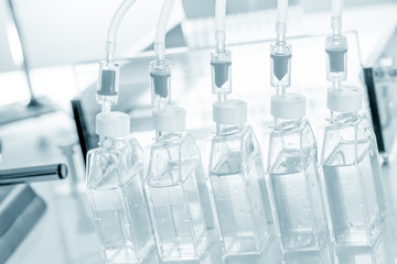 biological culture growing