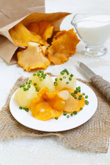 Fried chanterelles with cream and boiled potatoes on a white background