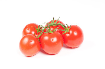 Tomatoes on a branch